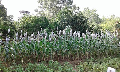 Photos of Neelabamma Model Farm and Office Of Agriculture Instructor