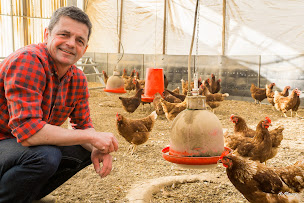 Photo n°2 de Les Gallines de l'Augustine à Le Pradet (Éleveur)
