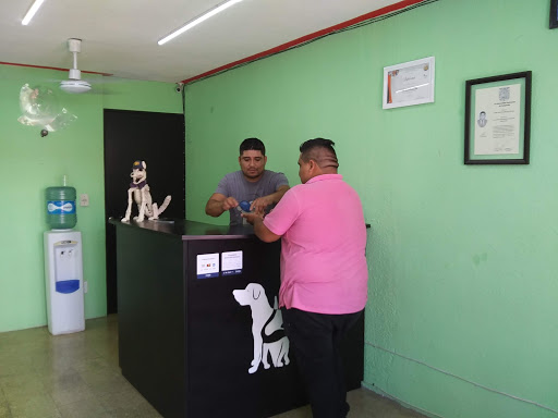 Clinica Veterinaria Cats & Dogs