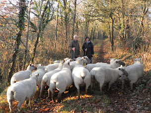 Photo n°29 de La Pinière à Talmont-Saint-Hilaire (Lodge)