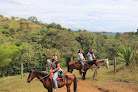 Negocio Agencia De Viajes Ecoturismo San Agustin