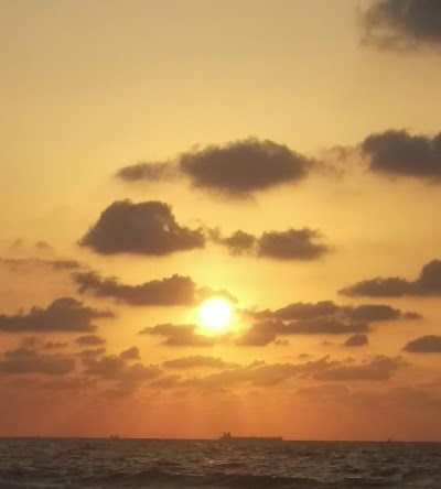 Photos of Sea view hotel Alexandria