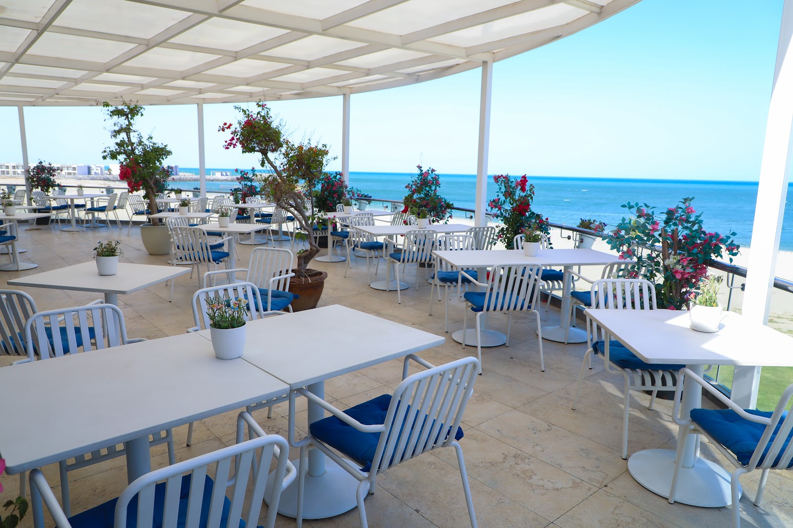 لاروكا - صورة 3