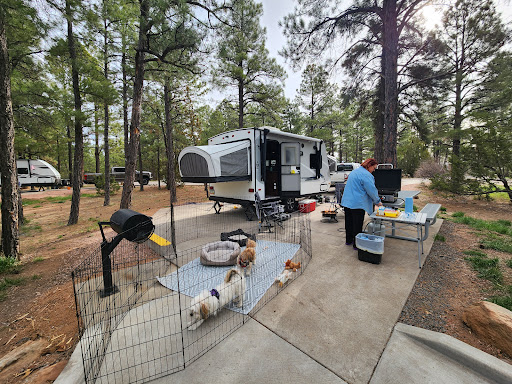 Fool Hollow Lake Recreation Area Campground - Thumbnail