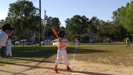 The Bottom Baseball fields - Visual