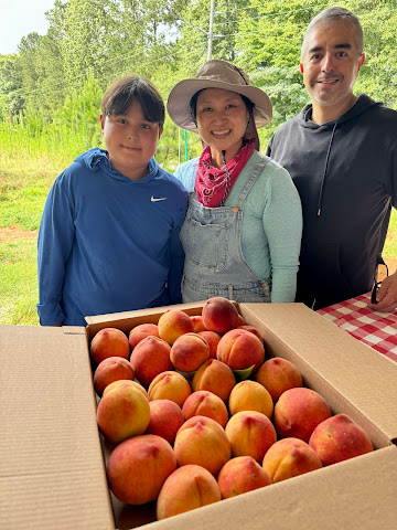 Penelope's Peaches by null