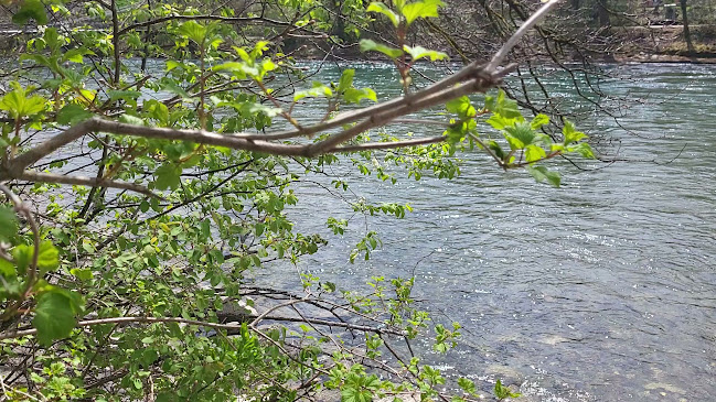 Grottino an der Aare