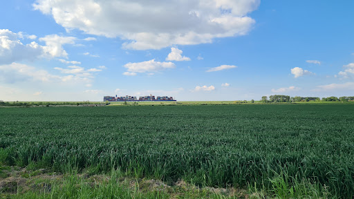 Terneuzen - Thumbnail