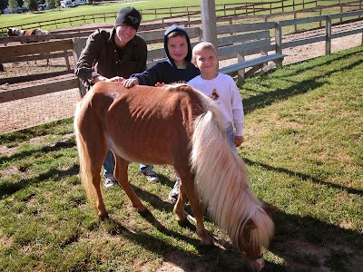 Photos of Cran-Hill Ranch