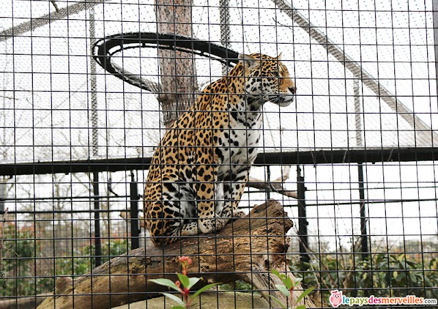 Parc Zoologique de Paris