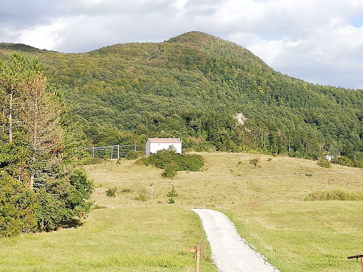 Colline Verdi