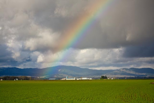 Visit Corvallis - Visual