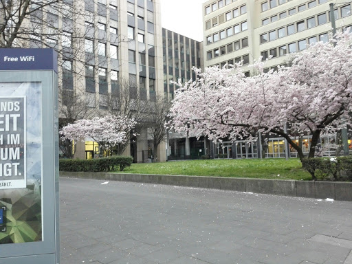 D-Charlottenstr./Oststraße - Thumbnail