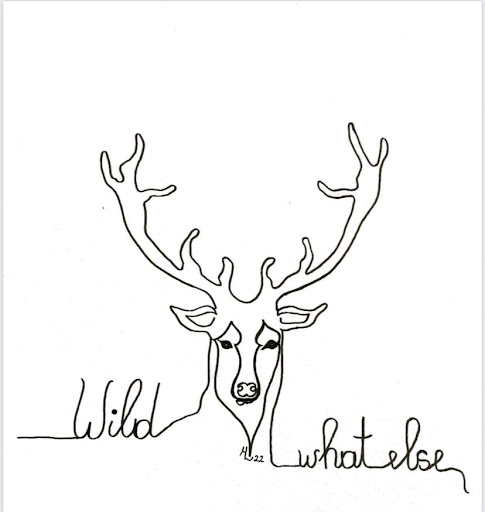 WildwhatElse - Visual