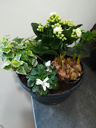 Photo n°12 de Les Fées Fleurs à Genech (Fleuriste)