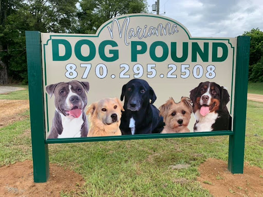 Marianna Dog Pound - Thumbnail