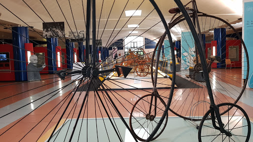 Museum of Champions