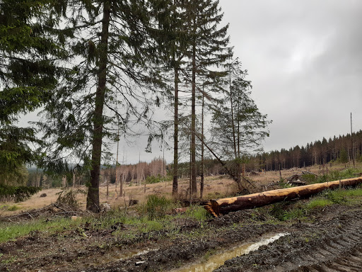 Oberharz - Thumbnail