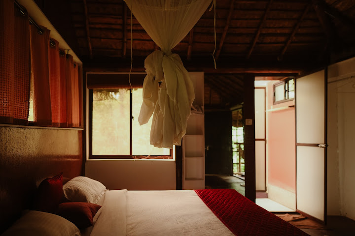 Greenex Farms by null