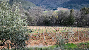 Photo n°3 de Jas de l’Agachet à Simiane-la-Rotonde (Ferme)