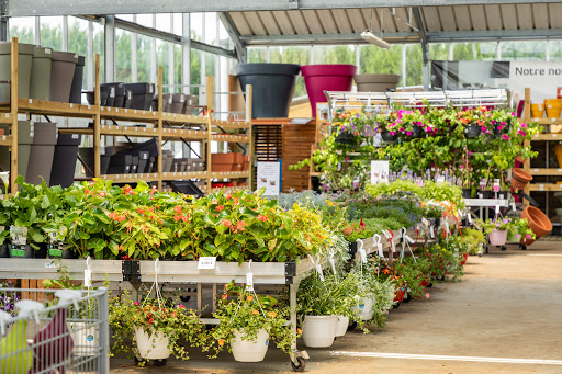 Photo de Jardinerie Derly Blagon à Lanton (33138)