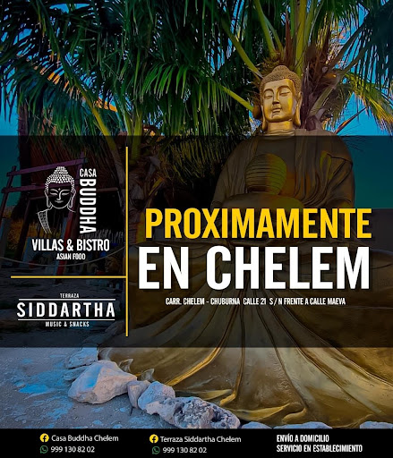 Terraza Siddartha Chelem - Thumbnail