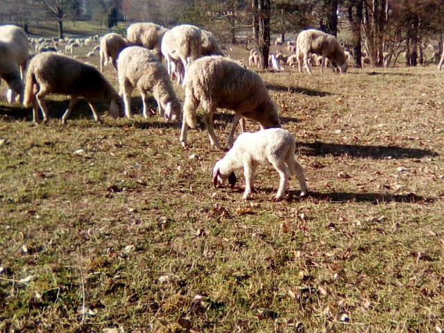Parco Colletta
