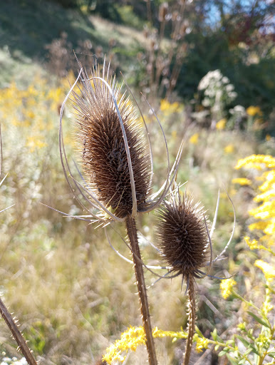 Chalfant Run Watershed - Thumbnail