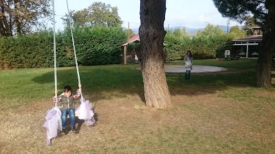 Photos of &Ccedil;amlaraltı Camping