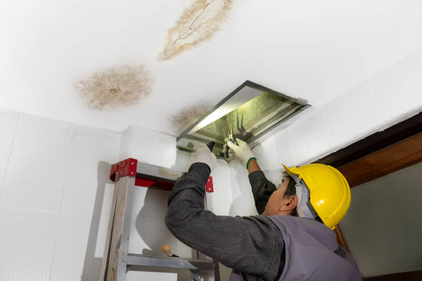 Pro Euless Water Damage Solutions photo
