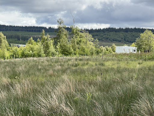 Tomintoul Dark Sky Site & Bird Hide - Thumbnail