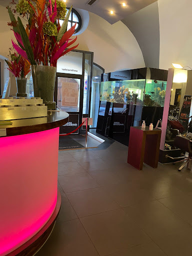 EISELE INTERNATIONAL Friseur Regensburg - Thumbnail
