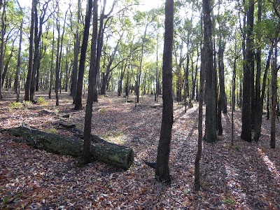 Photos of Jhana Grove Meditation Retreat Centre