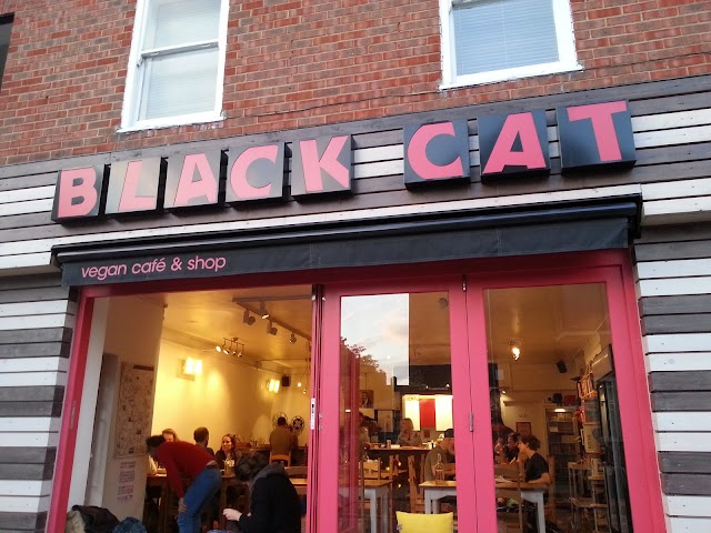 Black Cat Cafe