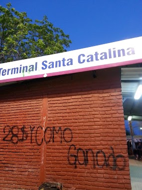 Terminal Santa Catalina, Author: Vania Roland