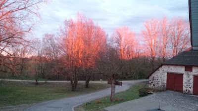 Photos of Pinska Guesthouse