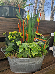 Photo n°23 de Jo lafleur | Fleuriste Besançon à Besançon (Service de plantes d'intérieur)