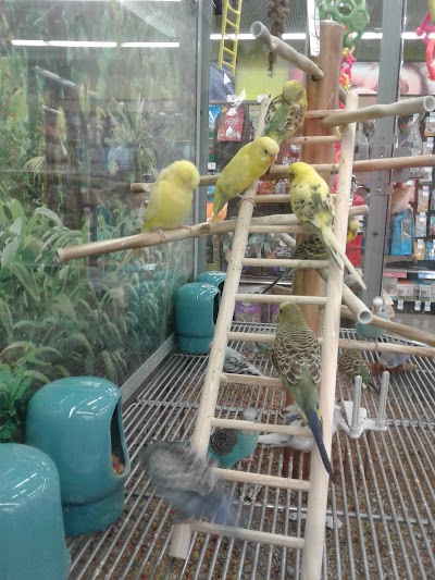 Petco