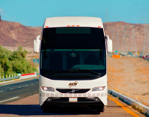 ACN Autobuses USA - Thumbnail