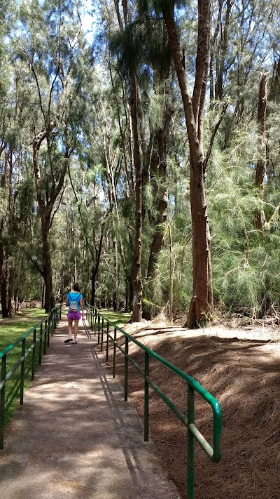 Pālāʻau State Park