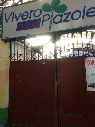 Photos of Vivero de la Plazoleta
