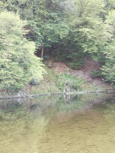 Camping Bohan - Visual