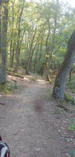 Aussichspunkt oberhalb vom Peternacher Tal - Thumbnail
