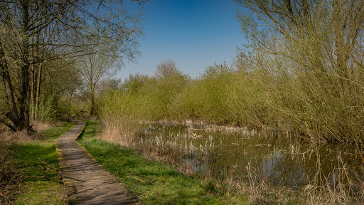 Krebsscherenteich - Thumbnail