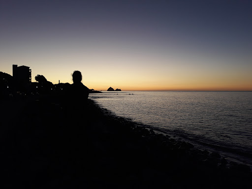Wind Wand Car Park, New Plymouth - Thumbnail