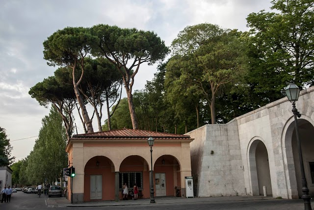Stadio Porta Elisa