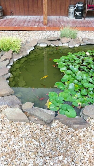 Country Pets & Ponds