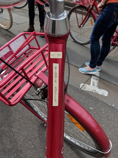 Photos of Freddy's Bike Tours & Rentals