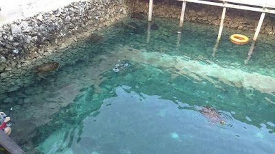Photos of Mangga Lodge