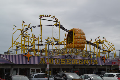 Queen Bee Coaster - Visual